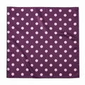 Polka Dot Satin Head Scarf
